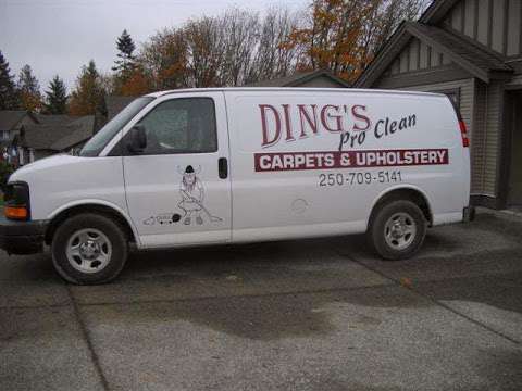 Ding's Pro Clean Ding's Pro Clean